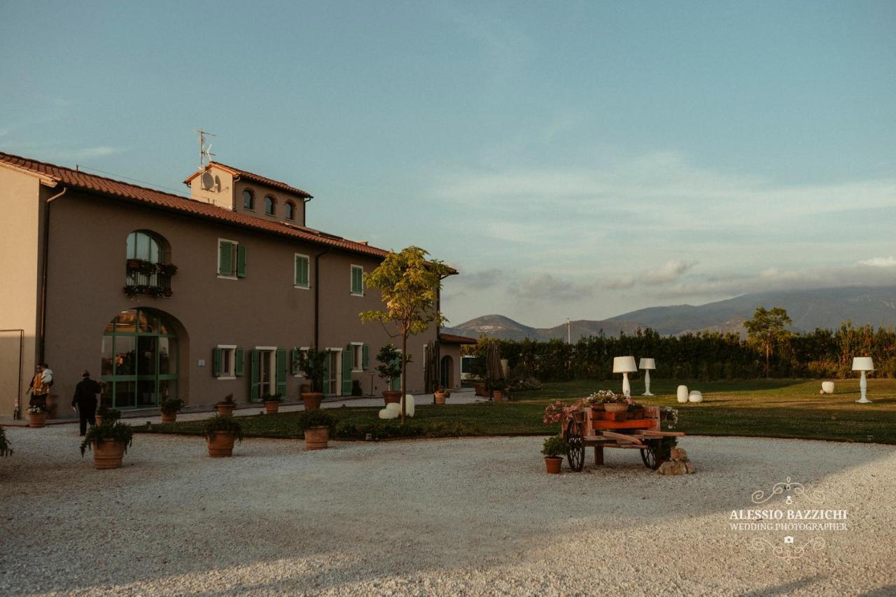Fattoria L'Olmetto Villa Pisa Exterior photo