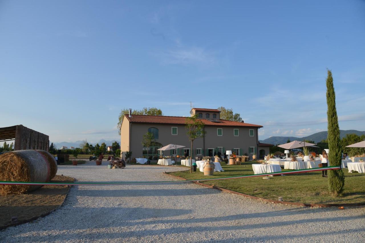 Fattoria L'Olmetto Villa Pisa Exterior photo
